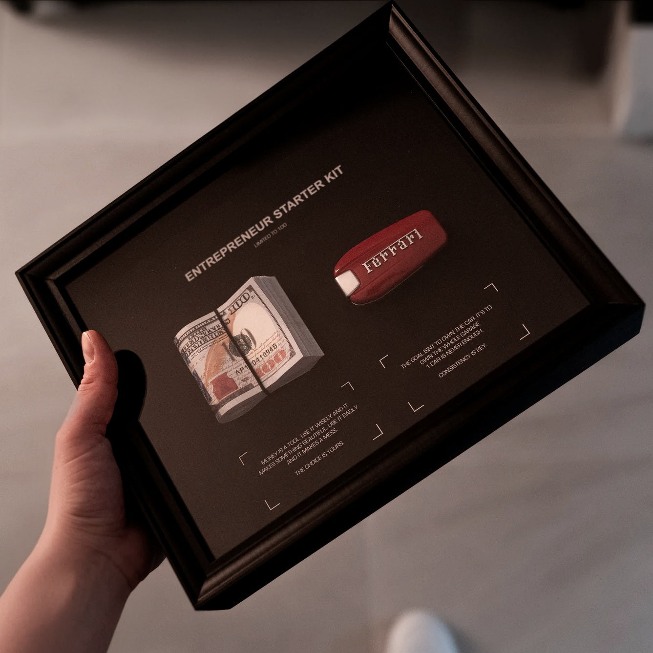 THE ENTREPRENEUR STARTER KIT