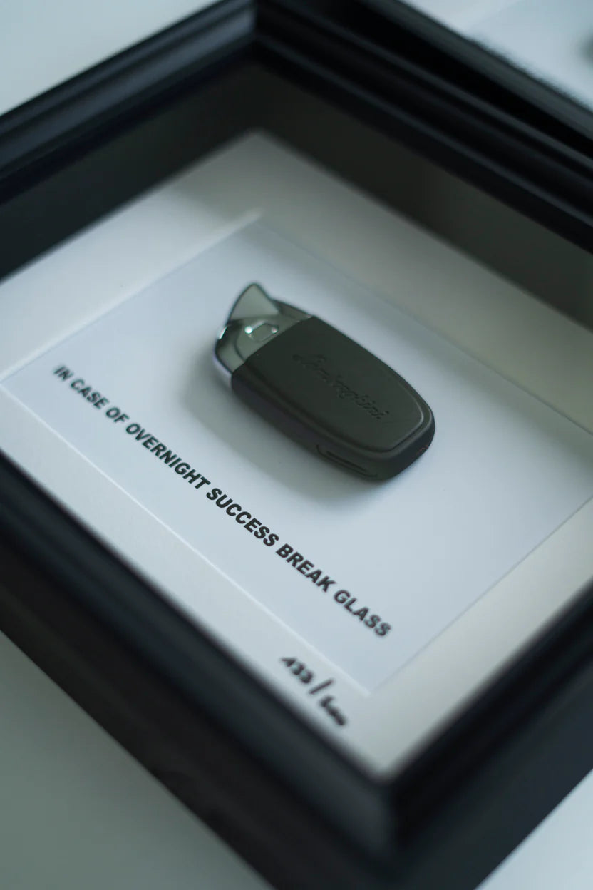 THE 3 OVERNIGHT SUCCESS